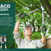 RACO MaxForce 750 мм, с изогнутым лезвием, двурычажный, усиленный, с алюминиевыми рукоятками, Большой контактный сучкорез (4214-53/1875)