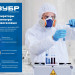 ЗУБР РПГ-67, с фильтрами В1, респиратор противогазовый, Профессионал (11145)