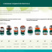 RACO PROFI-PLUS 1/2″, с автостопом, соединитель быстросъемный для шланга, из металла с TPR